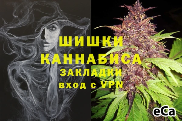 ПСИЛОЦИБИНОВЫЕ ГРИБЫ Белокуриха