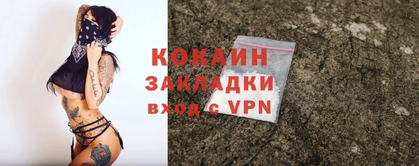 ПСИЛОЦИБИНОВЫЕ ГРИБЫ Белокуриха