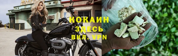 ПСИЛОЦИБИНОВЫЕ ГРИБЫ Белокуриха