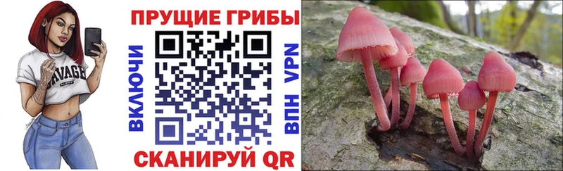 Псилоцибиновые грибы мухоморы Володарск